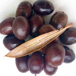 оливки мурсианские кукийо